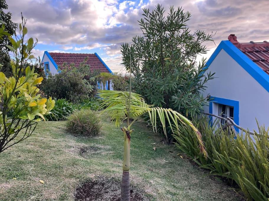 Lucky Lemons Boutique Houses Madeira 1 Кальета Экстерьер фото